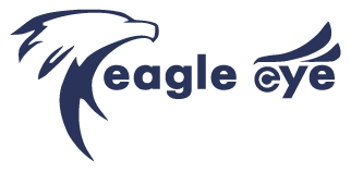 Eagle Eye Inc