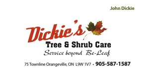 Dickie's Tree and Shrub Care